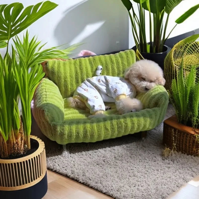 Se19664898c6347b8a2f32b8b5ff09788p